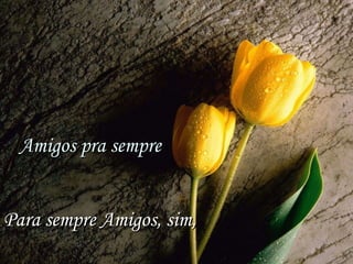 Amigos pra sempre Para sempre Amigos, sim, 