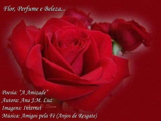 Poesia: “A Amizade” Autora: Ana J.M. Luz Imagens: Internet Música: Amigos pela Fé (Anjos de Resgate) Flor, Perfume e Beleza... 