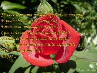 Se você tem uma pessoa especial em sua vida,  E pode chamá-lo de Amigo(a),  Envie essa  mensagem a ele(a). Com certeza, o(a)  fará muito feliz!!! E com certeza vai recebê-la de volta. Afinal, você também é muito especial!!! Tenha um ótimo dia!!! Beijos... 