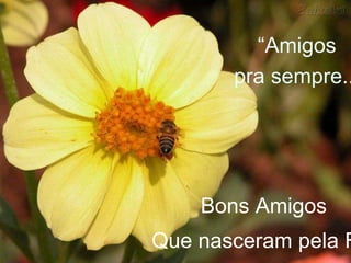 “Amigos 
pra sempre... 
Bons Amigos 
Que nasceram pela Fé. 
 