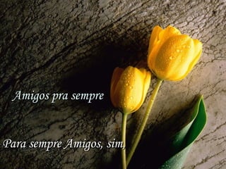 Amigos pra sempreAmigos pra sempre
Para sempre Amigos, sim,Para sempre Amigos, sim,
 