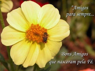“ Amigos  para sempre... Bons Amigos  que nasceram pela Fé. 