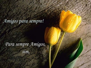 Amigos para sempre! Para sempre Amigos,  sim, 