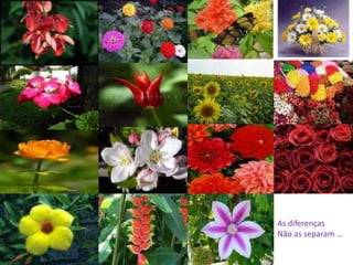 As diferenças
Não as separam …
 