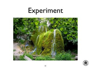 Experiment




    31
 