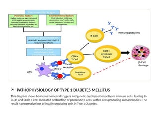 Introduction to type 1 Diabetes Mellitus | PPTX