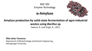 BGE 503
Enzyme Technology
Effat Jahan Tamanna
Department of Biotechnology and Genetic Engineering,
Jahanginagar University.
α-Amylase
 