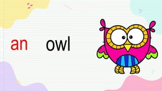 owl
an