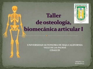 Taller de osteología, biomecánica articular I UNIVERSIDAD AUTONOMA DE BAJA CALIFORNIA VALLE DE LAS PALMAS CISALUD GRUPO:114 SUGRUPO:2 