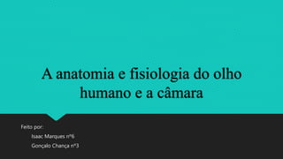 A anatomia e fisiologia do olho
humano e a câmara
Feito por:
Isaac Marques nº6
Gonçalo Chança nº3
 