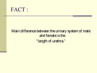 FACT :
Main differencebetween theurinary system of male
and femaleisthe
“length of urethra.”
 