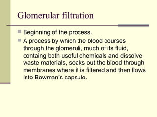 Glomerular filtration
 Beginning of the process.
 A process by which the blood courses
through the glomeruli, much of its fluid,
containg both useful chemicals and dissolve
waste materials, soaks out the blood through
membranes where it is filtered and then flows
into Bowman’s capsule.
 