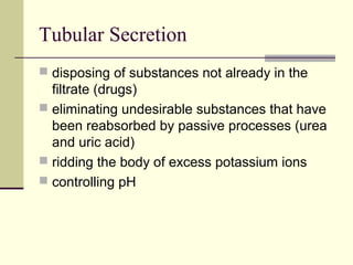Tubular Secretion
 disposing of substances not already in the
filtrate (drugs)
 eliminating undesirable substances that have
been reabsorbed by passive processes (urea
and uric acid)
 ridding the body of excess potassium ions
 controlling pH
 