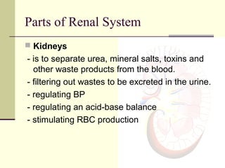 Parts of Renal System
 Kidneys
- is to separate urea, mineral salts, toxins and
other waste products from the blood.
- filtering out wastes to be excreted in the urine.
- regulating BP
- regulating an acid-base balance
- stimulating RBC production
 