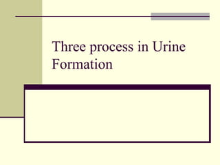 Three process in Urine
Formation
 