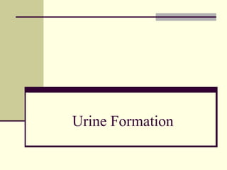 Urine Formation
 