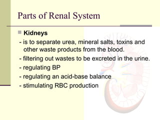 Parts of Renal System
 Kidneys
- is to separate urea, mineral salts, toxins and
  other waste products from the blood.
- filtering out wastes to be excreted in the urine.
- regulating BP
- regulating an acid-base balance
- stimulating RBC production
 