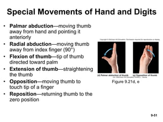 human body joints full detailed lecture for nurses | PDF