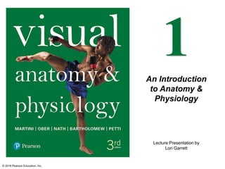 Lecture Presentation by
Lori Garrett
1
An Introduction
to Anatomy &
Physiology
© 2018 Pearson Education, Inc.
 