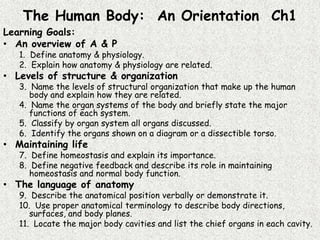 The Human Body: An Orientation Ch1
Learning Goals:
• An overview of A & P
   1. Define anatomy & physiology.
   2. Explain how anatomy & physiology are related.
• Levels of structure & organization
   3. Name the levels of structural organization that make up the human
      body and explain how they are related.
   4. Name the organ systems of the body and briefly state the major
      functions of each system.
   5. Classify by organ system all organs discussed.
   6. Identify the organs shown on a diagram or a dissectible torso.
• Maintaining life
   7. Define homeostasis and explain its importance.
   8. Define negative feedback and describe its role in maintaining
      homeostasis and normal body function.
• The language of anatomy
   9. Describe the anatomical position verbally or demonstrate it.
   10. Use proper anatomical terminology to describe body directions,
      surfaces, and body planes.
   11. Locate the major body cavities and list the chief organs in each cavity.
 