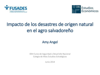 Impacto de los desastres de origen natural
en el agro salvadoreño
Amy Angel
XXIII Curso de Seguridad y Desarrollo Nacional
Colegio de Altos Estudios Estratégicos
Junio 2014
 