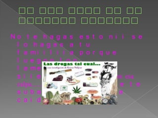 No nos hace bn en nuestro kuerpooNo te hagas esto nii se lo hagas a tu famiiliia porque luegooloo lamentaras para siiemprenp cargues con esa culpa…… cuando mas se te suba mayor sera la caida………