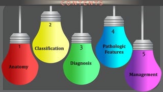 1
Anatomy
2
Classification
5
Management
4
Pathologic
Features
3
Diagnosis
 