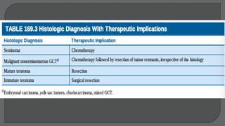 Germ Cell Tumors
