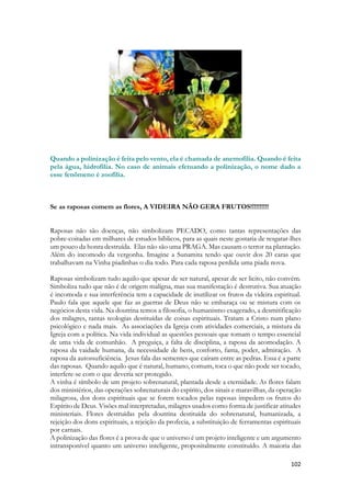 Apesar das vides estarem maduras, as figueiras ainda davam seus primeiros frutos. Ele olha para os frutos verdes da Figueira e logo após para a videira, para as suas flores. 
 