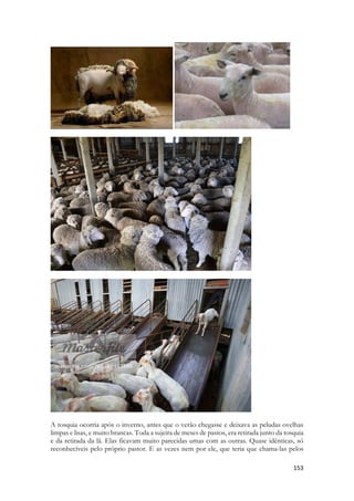 Vivemos num mundo mágico, um mundo que busca a magia, que exerce desde a antiguidade a prática de adoração a ídolos que são atos de magia, de busca de poderes, de forças sobrenaturais, que não significam verdadeira adoração a Deus. A maioria buscados ídolos o que se busca em objetos mágicos. Um talismã. Trocam libações, ofertas, oferendas por recompensas. 
Há em alguns o desejo de realizar o bem, de servir aos deuses com gratidão. Embora sirvam a deeses que não são deuses, Deus contempla o anseio destas pessoas de conhecerem e servirem ao Deus verdadeiro. E em algum momento, pelo seu tremendo amor, os afastará da mentira os conduzirá a Verdade. 
Quando o tabernáculo está erguido e os rituais estão sendo realizados, o mundo da época é completamente mágico. A filosofia é uma sombra, não existe o materialismo ainda, ou uma ciência separada, todo evento físico é algo sobrenatural, tudo tem origem no divino, não há uma segunda ou terceira explicação para os eventos biológicos, físicos, climáticos. O mundo moderno caminhou no sentido contrário, destituiu Deus de seu cargo e concedeu a Razão a detentora de status divino, insurgindo-se contra a própria ideia de Deus, mas isso é um mal da humanidade, sua Soberba. A Soberba é uma praga. Mas sem levar em conta a ciência enferma, e sua loucura pela excesso de sua arrogância, não havia no mundo antigo nenhuma outra divisão. Tudo era essencialmente mágico. 
E não concebiam CRER em DEUS sem atos, sem rituais, sem cenas, sem representações. Porque o ser humano não compreenderia as coisas invisíveis sem um tutorial, sem alguma representação visível. Essa é a escola do Velho Testamento. 
Uma das representações mais enigmáticas, o mais misterioso ato litúrgico, ato sacerdotal é a cena dos dois bodes. 
De tudo que se faz no tabernáculo, nada se equivale em mistério. Um enigma. O ato representa algo além da imaginação e mesmo após os escritos dos profetas e apóstolos do Novo testamento ainda é dificílimo explicar a profundidade do que tal coisa representa. Porque só conhecemos PARCIALMENTE a história de nossa Salvação. 
 