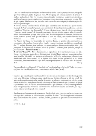 12 Elas responderam: “Sim. Ele está ali adiante. Apressem-se; ele chegou hoje à nossa cidade, porque o povo vai oferecer um sacrifício no altar que há no monte. 13 Assim que entrarem na cidade, vocês o encontrarão antes que suba ao altar do monte para comer. O povo não começará a comer antes que ele chegue, pois ele deve abençoar o sacrifício; depois disso, os convidados irão comer. Subam agora e vocês logo o encontrarão”. 
Bastava um sim... Mas assim elas não teriam assunto para segurar o rapaz... 
As filhas de Siló eram mestras em dança. Para lá afluíam todas as tribos de Israel nas festividades que aconteceram por 369 anos em Siló. E Siló também, inundada numa atmosfera de culto a Deus por tanto tempo, tornou-se a primeira escola de profetas da TERRA. A profissão de profeta no mundo, como ministério, iniciou-se em Siló. Abraão, Jacó, José e Moisés e mesmo Davi foram grandes profetas, mas é com sanuel que uma instituição que capacitava profetas surgiria. Única no mundo, cujos ensinamentos e práticas jamais forma mencionadas, presidida por Samuel, sue primeiro grão-mestre. Os aprendizes ou separados para exercer o ministério no Velho Testamento eram chamados de “filhos de profetas”. Mesmo quendo Deus separava um agricultor ou um vinhateiro de outra região para ser profeta, em algum instante, ele conheceria pessoas que nasceram do movimento espiritual originado em Siló. 
Compreender Siló é importante. Assim que Samuel se aposentou de ser juiz de Israel ele começou a presidir esse colégio, o grupo, essa escola não nomeada. Samuel se reunia com muitos, na região onde ainda existia o tabernáculo, já vazio, sem a arca que fora tomada pelos filisteus, e que depois ficou 20 anos numa fazenda Israelita. E lá havia poder espiritual, unção divina, a manifestação do Espírito de Deus num nível que muitos ministros da Graça, ministros do Novo Testamento jamais conhecerão. 
Siló é o lugar onde Jeftá, juiz de Israel, homem de origem humilde e desconsiderada, tratado como sujeito sem dignidade por ser filho de uma prostituta. Não tinha “pai” por assim dizer, mas homem de coragem e poderoso guerreiro, que tinha uma filha dançarina e musica. Para obter uma vitória impossível ele faz um voto infeliz, que fará com que sua filha seja oferecida como serva do santuário de Siló, e por isso, não poderia se casar. Isso representava quase a morte para uma menina israelita. Mas a moça sabendo que foi ofertada como sacrifício vivo a Deus, (já que Jeftá esperava que viesse um cordeiro ou uma vaca ao seu encontro, que ofereceria em sacrifício) decide permanecer virgem e dedicando-se ao sacerdócio pelo resto de sua vida. Por 30 dias suas amigas sobem com ela até o monte da cidade para chorar sua virgindade eterna. Chorar o fato de que ela jamais poderia ser mãe. 
Creio que essa moça será a “mãe” das filhas de Siló. Ela manterá viva as tradições de dança, ela criará uma escola de dança em Siló. Ela será conhecida por todos, que de ano em ano a verão dançando nas festas de Israel. Ela é uma promessa viva, que jamais foi quebrada. 
Siló é o lugar onde ANA chora por sua esterilidade, recebendo de Deus 7 filhos. O primeiro ela ofereceu ao ministério do tabernáculo. Seu nome é Samuel. 
Em Siló a arca será tomada e o fogo que ficava acesso dentro do tabernáculo, aceso a mais de 370 anos, se apagará. 
Em Siló o sacerdócio Levitico será é rejeitado. Lá o último sacerdote levita legitimo, debaixo da ordem de Araão( irmão de Moisés), ordem ainda vigente, morrerá. Ao saber que a arca foi tomada. É lá que é dado a profecia do surgimento de uma nova ordem sacerdotal. 
Os levitas que ministraram no templo de Salomão já estavam debaixo de outra ordenação, ou num prazo de misericórdia concedido ainda à antiga ordem. 
Siló será finalmente destruída e queimada a fogo. Juntamente com o antigo tabernáculo, quando o templo de Salomão estava de pé. 
Salmos 78:60 
Abandonou o tabernáculo de Siló, a tenda onde fazia morada entre os homens. 
Salmos 78:61  