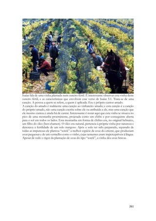 Entregou o símbolo do seu poder ao cativeiro, e seu esplendor, nas mãos do opressor. 
6então farei deste Templo o que fiz do Santuário de Siló, e desta cidade, um objeto de maldição entre todas as nações da terra!” 
Os filisteus ou os Assírios tomaram Siló, levaram cativo seus habitantes e incendiaram as casas e o tabernáculo. Tudo virou cinza. 
O ultimo sacerdote levítico que ministrou no tabernáculo se chamava Eli e possuía dois filhos. Nadabe e Abiu. Seriam os próximos sacerdotes e herdeiros das tradições sacerdotais, históricas, jurídicas e de sabedoria de Israel. Todo o Israel se reunia em Siló para aprender sobre Deus. Mas, Nadabe e Abiu eram ímpios. Moralmente deturpados. Desonestos. Aváros. Irreverentes. Neles não habitava nenhum tipo de respeito pelas coisas divinas. Usavam os sacrifícios que o povo levava para seu próprio proveito. A cena mais grotesca em relação as ofertas do Velho Testamento demonstra a completa ignorância que tinham com relção ao ofício que receberma por herança. Interromperam o Yom Kipur para retirar de sobre o altar a carne dos sacrifícios, bebâdos, e a levarem em pedaços fincados num garfo, saindo pelas cortindas do santuário, passando pela porta da tenda, em direção de suas casas. Diante de toda a multidão estarrecida. Fizeram isso diante de toda a nação, ou de pelo menos, milhares de peregrinos que se locomoveram por dias e até semanas para terem o privilégio de adorar a Deus no lugar mais sagrado da terra desta época. 
Esse ato é o ato final. Essa foi a atitude foi considerada tão grave por Deus que o sacerdócio foi sumariamente rejeitado. Os dois morreriam semanas depois num confronto com os filitesu, ambos, no mesmo instante em que a arca seria tomada por um exército estrangeiro. Ao receber o anuncio da morte dos filhos e da tomada da Arca, o velho Eli cairia de sua cadeira e quebraria o pescoço tendo morte imediata. 
Na época de Sunamita e Salomão, Siló ainda existe. Ainda existem as danças, ainda há uma escola de dançarinas. A segunda geração de profetas após Samuel está lá em Siló. Muitas das dançarinas de Siló eram filhas de profetas. As filhas de Siló eram próximas, moravam no local do maior movimento profético do Velho Testamento. Eram descendentes de Benjamitas. Todas as mães de Siló nasceram de mulheres que um dia dançaram e corriam nas festas dedicadas a Deus. E todas as moças de Siló tinham origem em avós ou bisavós raptadas. 
Paulo de Tarso que nascerá mil anos após esses eventos, é provavelmente, descendente de uma dessas mulheres Benjamitas. De umas das filhas de Siló. 
A palavra Maanaim é traduzida como (fileira de dois exércitos) em algumas versões, em outras é deixada sem tradução. 
Para estar ali como dançarina na presença do Rei, como dançarina principal Sunamita é extremamente formosa. E necessita ser exímia dançarina. Ela é morena, mas iluminada pelas tochas do salão, adornada de pedras e adereços brilhantes, ela literalmente, brilha. Ela ilumina o chão por onde passa, refletindo as luzes nos cristais de suas vestes. Seus véus coloridos se abrem, se desfraldam como bandeiras, e os guizos deseus pés batido ritmadamente parecem o pisar de uma tropa, os passos de um grupo de soldados correndo. Os guizos amarrados nos pés agem como instrumentos de percussão, eles marcam o ritmo, em contratempo com o barulho das pulseiras e do tamboril. Ela roda como um soldado que se movimenta com a espada em alguns instantes. Ela lembra uma guerreira. Jamais desistiu. E jamais desistirá de seu amor por Salomão. Salomão usa uma palavra que designa o sentimento (TERRIVEL) que teríamos se estivéssemos ao lado de uma tropa da antiguidade em marcha, com seus gritos de guerra. Sunamita grita, tece trechos de melodia com a voz, ainda comum nas expressões vocais Árabes, Persas Sírias e Indianas. Faz parte da requintada  