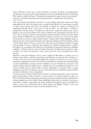 Nogueiras são árvores que levam tempo para se tornarem adultas. 
 