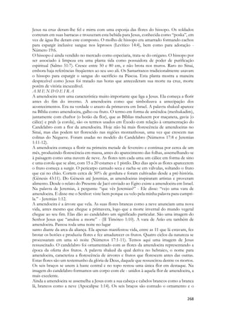 (inflorescência de flores masculinas) 
(flores femininas) 
 