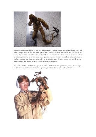 Nos tempos mais remotos, a raiz era utilizada para colocar os pacientes prestes a passar por uma cirurgia em estado de sono profundo, durante o qual as operações poderiam ser realizadas. A raiz era infundida ou fervida e um pouco era dado para o paciente beber, entretanto, tomava-se certos cuidados quanto à dose, porque quando usada em excesso poderia causar um sono do qual não se acordava mais. Outras vezes era usada apenas umedecendo um tecido para ser ministrada externamente. 
Na idade média acreditavam que suas folhas brilhavam magicamente, que a mandrágora podia enlouquecer ao ser humano e que ela gritaria se fosse arrancada da terra. 
 