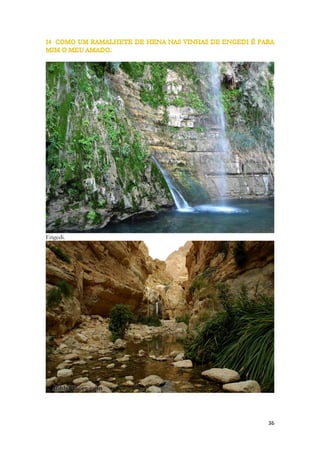 Moça do Exército Israelense 
Salomão observa-a por inteiro. E diferente de alguns namorados, noivos e esposos, vê cada parte da beleza da futura esposa. Ele diz que ela é tão bela quanto as jóias que está usando. Mais detalhadamente, que o rosto dela é uma jóia engastada entre outras jóias. O rei está maravilhado com sua beleza e seus olhos ultrapassam os enfeites que a cobrem porque ela aos seus olhos é mais bela do que tudo que usa para tornar-se aos seus próprios olhos, mais bonita. Desde a antiguidade as mulheres usam jóias e enfeites. Elas se enfeitavam mais ou menos como hoje, porém com uma variedade maior de enfeites, e com mais motivos. As jóias eram cobertas de significados, as pedras faziam referência em alguns casos a divindades, eram usadas como amuletos também. Tidas com poderes mágicos por diversas civilizações, ou como peças que atraiam a sorte e que afastavam os espíritos maus. Algumas designavam a origem de quem usava, assim como a sua classe social. Ou seja, ainda encontramos nos nossos dias os mesmos variados simbolismos das jóias do passado. As jóias que ela usa são trabalhos de exímios artesãos, como poderemos perceber na leitura de Cantares. Como era uma moça pobre deduzimos que ela as usa por empréstimo da mãe que a enfeitou, ou das amigas. 
 