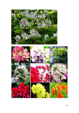 A cena é de Sunamita deitada no segundo andar num quarto cercado de grades e cortinas, e Salomão anseia dançar com ela na festas, ele anseia sua presença, sua companhia e não quer deixa-la dormindo! As noites foram de intensa atividade e correria, o dia de muitos afazeres, a moça fugia a noitinha para estar com ele, dormia altas horas da madrugada e ia para o labor diário de correr atrás das raposas, estava exausta. Mas o tempo de Salomão terminava, suas obrigações lhe chamavam e sabia que tinha pouco tempo para estar com seu amor. Ele a acha linda até dormindo. A imagem é muito bela, dentro da dimensão espiritual, vivemos a situação paradoxal. O Espírito é eterno e imortal. Deus não tem início e nem fim de dias. Mas nós somos finitos e passageiros. Nossos dias passam ligeiros como a sombra. Acordamos infantes, ao meio-dia somos adolescentes, ao entardecer somos adultos e ao anoitecer já estamos idosos. Nós temos muito pouco tempo para desfrutarmos da presença divina, do amor e da festa que acontece ao nosso redor. A urgência em que nos levantemos é nossa, para desfrutarmos dEle. A profundidade do conhecimento de Deus vem pela meditação e pelo estudo da Escrituras, que toma tempo, dedicação, apesar do cansaço da vida, dos afazeres, das dificuldades. Levantar nas Escrituras é sempre associado a uma postura de estar atento, preparar-se para realizar algo, ou no caso dos profetas, para ouvi-lo. Samuel está deitado e é chamado, necessita levantar- se. Ezequiel é solicitado a estar de pé porque deus queria falar com ele. Os homens respeitados no Oriente eram cumprimentados por todos que ficavam de pé ao passarem. E o Espírito anseia que estejamos despertos, ouvindo-o, indo com ele à lugares que ele quer nos conduzir. Ele deseja que passeemos com ele. Nunca nos vê senão com olhos amorosos. Ele vê sua Igreja Formosa. A palavra que também é traduzida por PERFEITA. 
1. 2:11כי־הנה הסתו עבר הגשׁם חלף הלך לו׃ 
2. Ki-hineh hasetav avar hageshem khalaf halakh lo: 
3. For, Behold, the winter is past, the rain is over [and] gone; 
Chovia muito nessa época do ano e a estiagem era o momento propício para as festas, para a colheita, para a fabricação do vinho. No final do inverno os frutos que foram colhidos no final do outono estavam maduros. Era o início da época das flores, do acasalamento das aves e dos animais da floresta, os cantos se tornavam melodiosos. A natureza explodia em cores vívidas. Os dias chuvoso perto do Hermon eram gélidos. Dias gelados. Parte das fontes agora degelava, corredeiras podiam ser vistas. A primavera era o tempo de namoro por causa da festa, por causa da representação da própria primavera. Era uma época extremamente romântica na dimensão do Oriente. A primavera evoca espiritualidade, calor, frutos, flores. Na dimensão espiritual sugere o desejo da Igreja de sentir e viver a plenitude de sua vida espiritual. Um dos anseios da Igreja é a unção, a manifestação dos dons, a operação milagrosa, a manifestação do espírito trazendo renovação, cura, renovação. As Igrejas denominam essa primavera espiritual de “avivamento”. Frio nas Escrituras é tempo de mãos adormecidas, lembra frieza de coração, sentidos amortecidos. Desconforto. O frio matava os pobres por não possuírem roupas adequadas. Os profetas viram cenas terríveis de que banqueiros sem escrúpulos emprestavam a juros altos a uma comunidade trabalhadora e se esta não tivesse como pagar, penhoravam suas roupas e se no tempo devido não pudessem pagar os juros, após terem perdido as posses, após terem seus filhos vendidos como escravos, eram deixados nus. Um dos bens mais preciosos dos tempos antigos era uma capa para proteção do frio. Ela era um equipamento básico de  