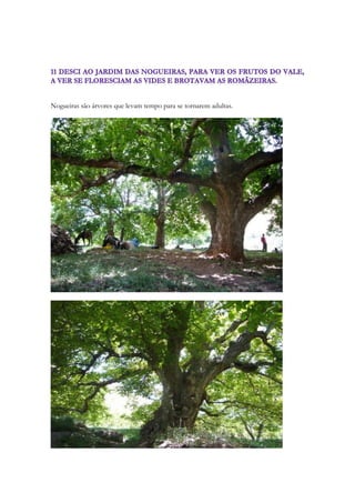 1. {The Beloved} 
2. הנך יפה רעיתי הנך יפה עיניך יונים׃ 1:15 
3. Hinakh yafarah rayati hinakh yafah einayikh yonim: 
4. Behold, thou are fair, my love; behold, thou are fair; thou have doves' eyes. 
258 
 