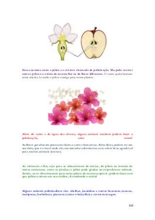 Esse encontro entre o pólen e o ovário é chamado de polinização. Ela pode ocorrer 
entre o pólen e o ovário da mesma flor ou de flores diferentes. O vento ajuda bastante 
nessa missão, levando o pólen consigo para outras plantas. 
Além do vento e da água das chuvas, alguns animais também podem fazer a 
polinização, sabe como? 
As flores geralmente possuem cheiro e cores chamativas. Além disso, podem ter um 
nectário, que é o local onde são encontradas substâncias com sabor bem agradável 
para muitos animais (néctar). 
Ao visitarem a flor, seja para se alimentarem do néctar, do pólen ou mesmo de 
outras estruturas, como as pétalas, o pólen pode grudar no corpo desses animais. 
Assim, ao se direcionarem para outra planta da mesma espécie, podem fazer com 
que pólens entrem em seu estilete, fecundando o ovário! 
Alguns animais polinizadores são: abelhas, joaninhas e outros besouros, moscas, 
mariposas, borboletas, pássaros (como o beija-flor) e certos morcegos. 
316 
 