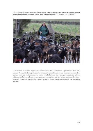 19:16 E quando os mensageiros foram entrar, eis que havia uma imagem na cama, com 
uma almofada de pêlos de cabra para sua cabeceira. "(1 Samuel 19: 12-16 KJV) 
353 
. 
A moça tem os cabelos negros-azulados e cacheados e compridos. A pista nos é dada pela 
cabras. A tonalidade da pelagem das cabras era normalmente negra, marrom, ou pintadas, 
mas, o pelo que mais se parecia com o cabelo humano era a pelagem negra das cabras. 
Algumas tinham o pelo muito comprido, tão comprido que até modernamente são feitos 
apliques de cabelo baseados em pelos de cabra e são confundidos com o cabelo negro 
natural. 
 