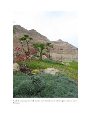 com as especiarias reias como a canela, o cardamomo (tipo de gengibre), o cravo e o 
gengibre. 
É interessante observar que é da idade média, por volta do ano de 1.300, o primeiro 
livro impresso sobre o vinho: "Liber de Vinis". Escrito pelo espanhol ou catalão Arnaldus 
de Villanova, médico e professor da Universidade de Montpellier, o livro continha uma 
visão médica do vinho, provavelmente a primeira desde a escrita por Galeno. O livro cita 
as propriedades curativas de vinhos aromatizados com ervas em uma infinidade de 
doenças. Entre eles, o vinho aromatizado com arlequim teria "qualidades maravilhosas" tais 
como: "restabelecer o apetite e as energias, exaltar a alma, embelezar a face, promover o 
crescimento dos cabelos, limpar os dentes e manter a pessoa jovem". O autor também 
descreve aspectos interessantes como o costume fraudulento dos comerciantes oferecerem 
aos fregueses alcaçuz, nozes ou queijos salgados, antes que eles provassem seus vinhos, de 
modo a não perceberem o seu amargor e a acidez. Recomendava que os degustadores 
"poderiam safar-se de tal engodo degustando os vinhos pela manhã, após terem lavado a 
boca e comido algumas nacos de pão umedecido em água, pois com o estômago 
totalmente vazio ou muito cheio estraga o paladar ". Arnaldus Villanova, falecido em 1311, 
era uma figura polêmica e acreditava na segunda vinda do Messias no ano de 1378, o que 
lhe valeu uma longa rixa com os monges dominicanos que acabaram por queimar seu livro. 
É importante mencionar um fato importantíssimo e trágico na história da 
vitivinicultura, ocorrido da segunda metade do século passado, em especial na década de 
1870, até o início deste século. Trata-se de uma doença parasitária das vinhas, provocada 
pelo inseto Phylloxera vastatrix, cuja larva ataca as raízes. A Phylloxera, trazida à Europa 
em vinhas americanas contaminadas, destruiu praticamente todas as videiras européias. A 
salvação para o grande mal foi a descoberta de que as raízes das videiras americanas eram 
resistentes ao inseto e passaram a ser usadas como porta-enxerto para vinhas européias. 
Desse modo, as videiras americanas foram o remédio para a desgraça que elas próprias 
causaram às vitis européias. 
39 
 