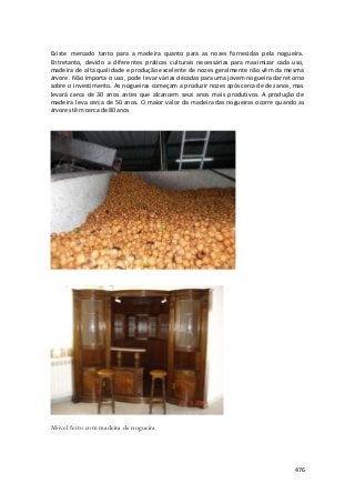 Existe mercado tanto para a madeira quanto para as nozes fornecidas pela nogueira. 
Entretanto, devido a diferentes práticas culturais necessárias para maximizar cada uso, 
madeira de alta qualidade e produção excelente de nozes geralmente não vêm da mesma 
árvore. Não importa o uso, pode levar várias décadas para uma jovem nogueira dar retorno 
sobre o investimento. As nogueiras começam a produzir nozes após cerca de dez anos, mas 
levará cerca de 30 anos antes que alcancem seus anos mais produtivos. A produção de 
madeira leva cerca de 50 anos. O maior valor da madeira das nogueiras ocorre quando as 
árvores têm cerca de 80 anos 
476 
Móvel feito com madeira de nogueira 
 