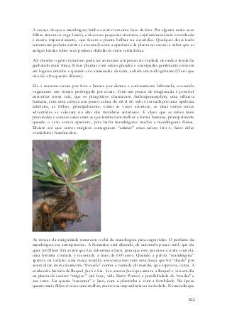 A crença de que a mandrágora brilha a noite tem uma base de fato. Por alguma razão suas 
folhas atraem os vaga-lumes, e são essas pequenas criaturas, cuja luminescência esverdeada 
é muito impressionante, que fazem a planta brilhar na escuridão. Qualquer desavisado 
certamente poderia sentir-se assustado com a aparência da planta no escuro e achar que as 
antigas lendas sobre seus poderes diabólicos eram verdadeiras. 
Até mesmo o grito temeroso pode ter ao menos um pouco de verdade de onde a lenda foi 
ganhando mais força. Essas plantas com raízes grandes e encorpadas geralmente crescem 
em lugares úmidos e quando são arrancadas da terra, soltam um ruído gritante (Claro que 
não tão alto quanto diziam). 
Ela é marrom-escura por fora e branca por dentro e curiosamente bifurcada, evocando 
vagamente um tronco prolongado por coxas. Com um pouco de imaginação é possível 
encontrar nessa raiz, que os pitagóricos chamavam Anthropomorphon, uma silhue ta 
humana, com uma cabeça um pouco acima do nível do solo e coroada por uma opulenta 
cabeleira, as folhas, principalmente, como às vezes acontece, se duas outras raízes 
adventícias se colocam no alto dos membros anteriores. E claro que as raízes mais 
procuradas e as mais caras eram as que lembravam melhor a forma humana, principalmente 
quando o sexo estava aparente, pois havia mandrágoras macho e mandrágoras fêmea. 
Diziam até que certos mágicos conseguiam “animar” essas raízes, isto é, fazer delas 
verdadeiros homúnculos. 
As moças da antiguidade tomavam o chá de mandrágora para engravidar. O perfume da 
mandrágora era entorpecente. A Sunamita está dizendo, de um modo pouco sutil, que ela 
quer ter filhos! Era assim que Lia subornou a Jacó, para que este passasse a noite com ela, 
uma história contada e recontada a mais de 600 anos. Quando a palvra “mandrágora” 
aparece na canção, uma moça israelita associaria isso com uma moça que foi “doada” por 
assim dizer, num casamento “forçado” contra a vontade do marido, que esperava, outra. A 
conhecida história de Raquel, Jacó e Lia. Lia amava Jacó que amava a Raquel e viu um dia 
na planta de caráter “mágico” (até hoje, vide Harry Potter) a possibilidade de “mudar” a 
sua sorte. Lia queria “encantar” a Jacó, com a plant inha e com a fertilidade. Na época 
quanto mais filhos tivesse uma mulher, maior sua importância na sociedade. E entendia que 
511 
 