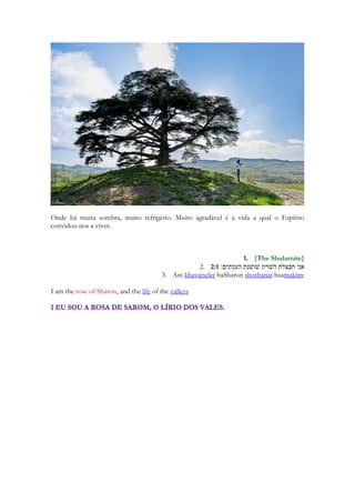 Em todo o Antigo Testamento bíblico, apenas o Livro de Jonas não tem referência 
à videira. 
As mulheres romanas foram proibidas de beber vinho, e um marido que encontrasse a sua 
esposa bebendo tinha liberdade para matá-la. Um divórcio com os mesmos fundamentos 
foi último gravado em Roma em 194 BCG 
O vinho muitas vezes cria uma "sinergia" interessante com alimentos Quando o vinho e 
comida são colocados juntos, eles têm "sinergia" ou geram um terceiro sabor além do que a 
comida ou bebida oferece sozinha. 
Nem todos os vinhos melhoram com o tempo. Na verdade, a grande maioria dos vinhos 
produzidos estão prontos para beber e não tem muito potencial para o envelhecimento. 
Apenas alguns raros vai durar mais tempo do que um decada. O vinho tem um efeito mais 
concentrado em mulheres do que em homens As mulheres estão mais susceptíveis aos 
efeitos de vinho do que nos homens, em parte, porque elas têm menos de uma enzima no 
revestimento do estômago, que é necessária para metabolizar o álcool eficientemente. 
No centro da vida social e intelectual grego existiu o Simpósio, que significa, literalmente, 
"beber juntos." De fato, o simpósio reflete carinho grego para a mistura de vinho e 
discussão intelectual. A combinação do tipo de solo, clima, grau de inclinação e exposição 
ao sol constitui o terroir de uma vinha eo que faz cada vinhedo e de cada vinho, unicos 
Os Odres eram uma forma comum para o transporte de vinho no mundo antigo. Peles de 
animais (geralmente cabras) eram limpas e cozinhadas e virando-se do avesso para que o 
lado peludo já tratado ficasse em contato com o vinho. 
Com a idade, os vinhos tintos tendem a perder a cor e eventualmente, acabar por uma cor 
de tijolo vermelho. Por outro lado, os vinhos brancos ganham cor, tornando-se de 
dourados, eventualmente, marrom-amararelados. 
55 
 