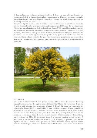 O figueira brava ou sicômoro também foi objeto de Jesus em suas palavras. Quando ele 
passava por Jericó, havia uma figueira brava e como que se debruçava por sobre a estrada. 
Jesus olhando para cima viu a Zaqueu e disse-lhe: “...desce dai para baixo porque hoje me 
convém pousar em tua casa”. 
Voltando à figueira há ainda uma curiosidade a ser considerada no calendário de Deus: Da 
criação do mundo até o nascimento de Abraão se passaram 1948 anos. Do nascimento de 
Abraão até o estabelecimento do Estado de Israel foram 3.730 anos. Da criação do mundo 
até o início da era comum, também 3.760 anos. Do começo da Era Comum até o Estado 
de Israel, 1948 anos. Como que o plano de Deus, em termos de datas, está praticamente 
cumprido. Só nos resta esperar um pouquinho mais, por um tempinho que não foi 
revelado. Mas a palavra também diz que: “não passará esta geração sem que estas coisas 
aconteçam”. Estamos na contagem da geração que tem presenciado o cumprimento das 
profecias. 
A C Á C I A 
Uma outra planta identificada com Jesus é a acácia. Planta típica dos desertos de Israel, 
especialmente do Arvá e das regiões secas e áridas do Mar Morto. Há vários tipos de acácia. 
A acácia mais comum cujo nome em hebraico é shittah foi usada na construção do 
tabernáculo (Êxodo 26:15 - Josué 2:11). O vale de Sitim - no mar Morto -, também é 
chamado de vale das acácias. A madeira da acácia não é madeira de cetim, como muitos 
pensam, não se trata de madeira mole, mas de madeira dura, incorruptível, cheia de nós. O 
vale é que se chama de Sitim, da mesma palavra hebraica Shittim, portanto vale dos Sitim, 
que é referido na Bíblia 24 vezes, das quais 9 se referem a acácia em si, e outras 5 
associadas ao local onde se encontra a acácia (Vale de Sitim). A palavra s itim, shittim 
significa acácia. A palavra sunt que vem do árabe determina certos tipos de acácia 
provenientes do Egito, Arábia e sul de Israel. Isaías 41:19 cita a acácia como árvore de sita 
568 
 