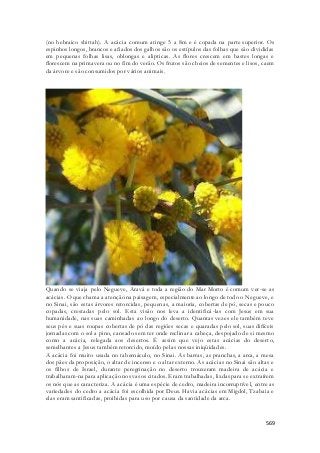 (no hebraico shittah). A acácia comum atinge 5 a 8m e é copada na parte superior. Os 
espinhos longos, brancos e afiados dos galhos são os estípulos das folhas que são divididas 
em pequenas folhas lisas, oblongas e alipticas. As flores crescem em hastes longas e 
florescem na primavera ou no fim do verão. Os frutos são cheios de sementes e lisos, caem 
da árvore e são consumidos por vários animais. 
Quando se viaja pelo Negueve, Aravá e toda a região do Mar Morto é comum ver-se as 
acácias. O que chama a atenção na paisagem, especialmente ao longo de todo o Negueve, e 
no Sinai, são estas árvores retorcidas, pequenas, a maioria, cobertas de pó, secas e pouco 
copadas, crestadas pelo sol. Esta visão nos leva a identificá -las com Jesus em sua 
humanidade, nas suas caminhadas ao longo do deserto. Quantas vezes ele também teve 
seus pés e suas roupas cobertas de pó das regiões secas e quaradas pelo sol, suas difíceis 
jornadas com o sol a pino, cansado sem ter onde reclinar a cabeça, despojado de si mesmo 
como a acácia, relegada aos desertos. É assim que vejo estas acácias do deserto, 
semelhantes a Jesus também retorcido, moído pelas nossas iniqüidades. 
A acácia foi muito usada no tabernáculo, no Sinai. As barras, as pranchas, a arca, a mesa 
dos pães da proposição, o altar de incenso e o altar externo. As acácias no Sinai são altas e 
os filhos de Israel, durante peregrinação no deserto trouxeram madeira de acácia e 
trabalharam-na para aplicação nos vasos citados. Eram trabalhadas, lixdas para se extraírem 
os nós que as caracteriza. A acácia é uma espécie de cedro, madeira incorruptível, entre as 
variedades do cedro a acácia foi escolhida por Deus. Havia acácias em Migdol, Tzabaia e 
elas eram santificadas, proibidas para uso por causa da santidade da arca. 
569 
 