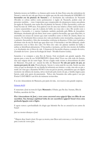 57 
Quarenta ânforas encontradas na parte interna de uma adega de um palácio israelense, 
contém resíduos de um dos mais antigos vinhos do mundo: 
Detalhes das ânforas encontradas. Fonte: scienze.fanpage.it 
Os arqueólogos, há muito tempo sabiam que se tivéssemos tido a oportunidade de provar 
o vinho como era feito antigamente, sentiríamos uma quantidade de aromas e especiarias 
que sem dúvida, o tornavam peculiar. Esses arqueólogos agora terão mais informaçõe s, 
devido ao que foi descoberto recentemente na adega de um palácio de uma cidade 
cananéia, em Israel setentrional, no sítio arqueológico de Tel Kabri: foi encontrada uma 
“reserva de garrafas” de 1.700 a.C! Arqueólogos israelenses e americanos foram os autores 
dessa descoberta, divulgada há alguns dias, em Baltimore, no encontro anual da . 
Sempre se soube que os vinhos da antiguidade era uma bebida da qual nos aproximaríamos 
com muita dificuldade: eram muitos os ingredientes colocados nele – um pouco por causas 
 
