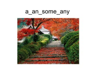 a_an_some_any 