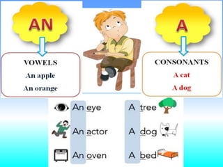 A, an , the