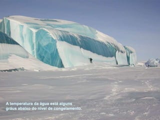 A temperatura da água está alguns gráus abaixo do nível de congelamento.